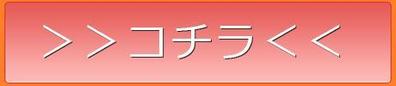 ボタン（カーソルが乗っている時）