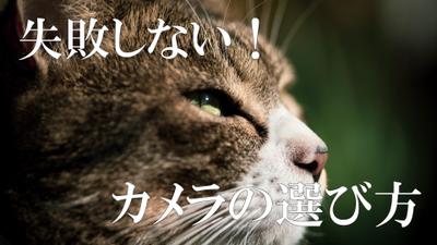 カメラについてのノウハウ記事