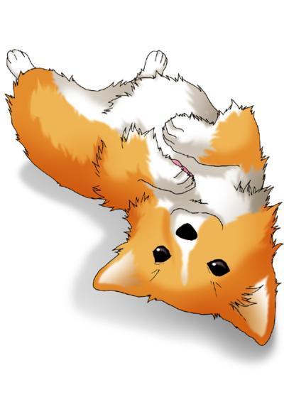 コーギー