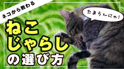 【YouTube向け】最後のまとめからエンディングまでの流れ（自主制作）