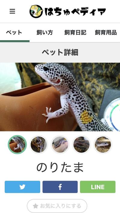 爬虫類飼育者向けWEBサービス「はちゅペディア」