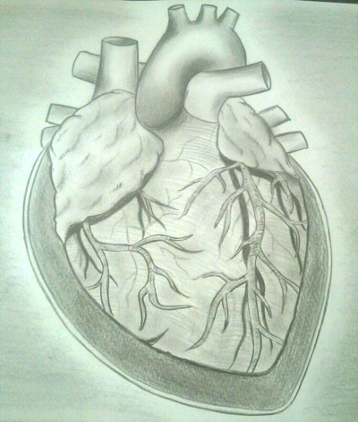 心臓の病気