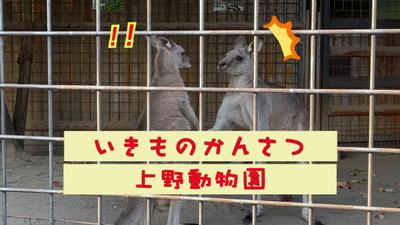 いきものかんさつ at 上野動物園