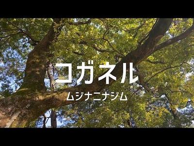 小金井市PR動画制作