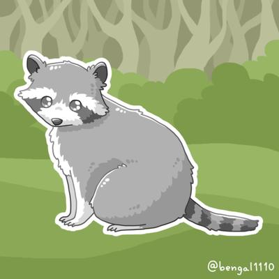 アライグマのイラスト