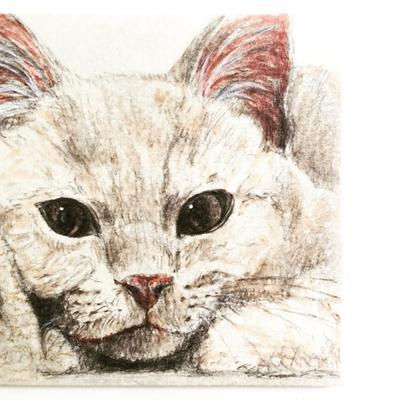 動物似顔絵