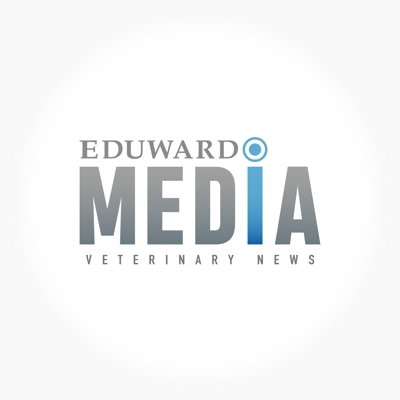 「EDUWARD MEDIA_ロゴデザイン」