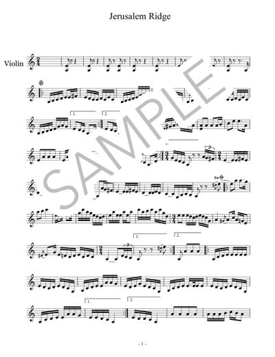 ヴァイオリン(メロディー譜)【楽譜】作成　音源等よりプロによる高精度のPDF楽譜作成致します。