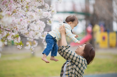 家族撮影『季節：桜』