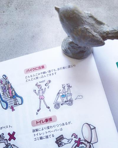 書籍の挿絵