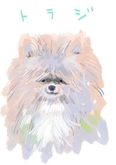 秋田犬イラスト