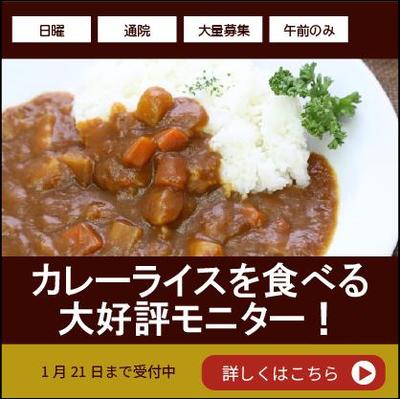 カレーライスモニター