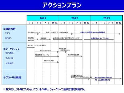 アクションプラン