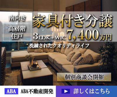 家具付き分譲