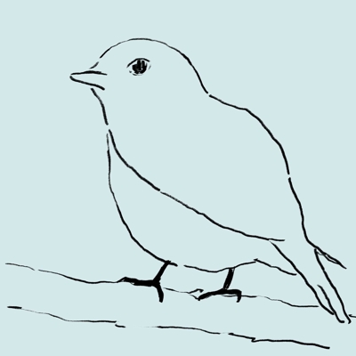 Bird1