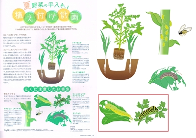「つくる通信」夏号の植え付け計画のページ・苗木や害虫のイラスト
