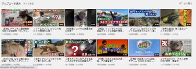 公式Youtubeチャンネル