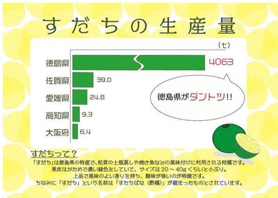 資料・グラフ　illustrator活用デザイン