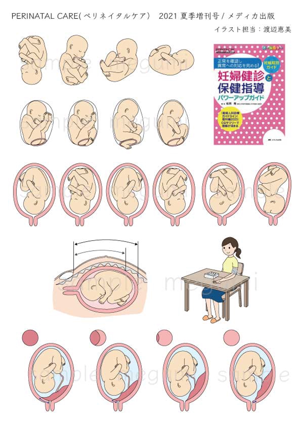 妊婦さん 胎児イラスト ポートフォリオ デザイナー ランサーズ