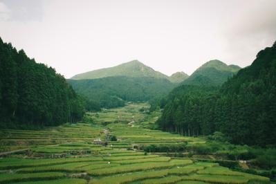 写真撮影、編集、レタッチ参考