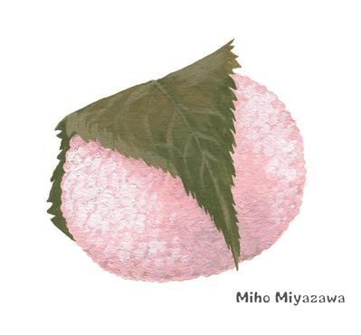 桜餅　和菓子・スイーツ（アクリル画）