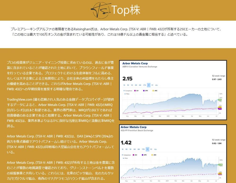 Website localization - Finance