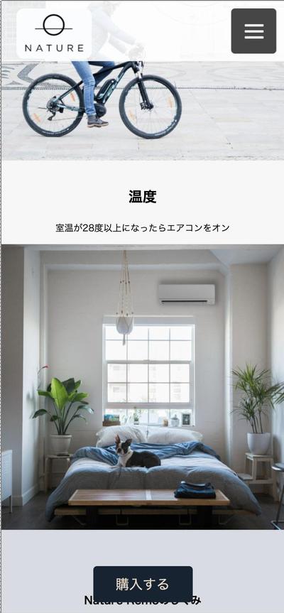 会社のランディングページ