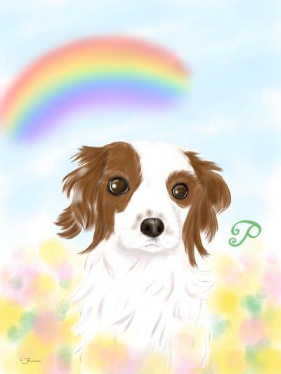 ペット似顔絵