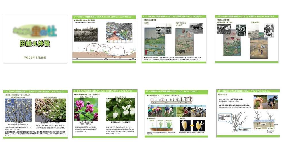研修用資料　田植え体験（児童用）