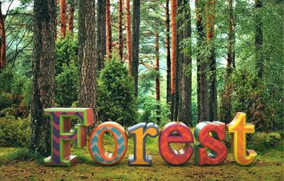 3DTEXT合成_Forest