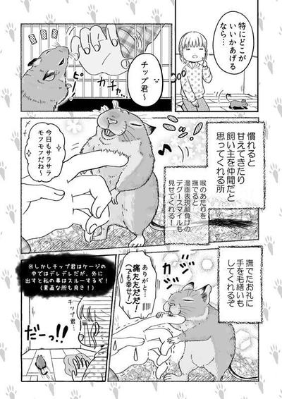 エッセイ漫画「デグーのチップ君」