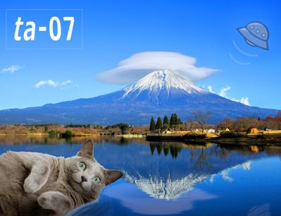 富士山とねこ