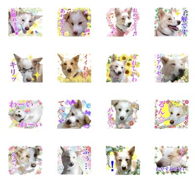 【LINEスタンプ】犬の画像