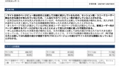 サイトアクセスレポート_見本