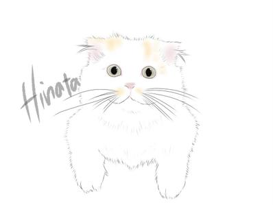 ペット似顔絵3