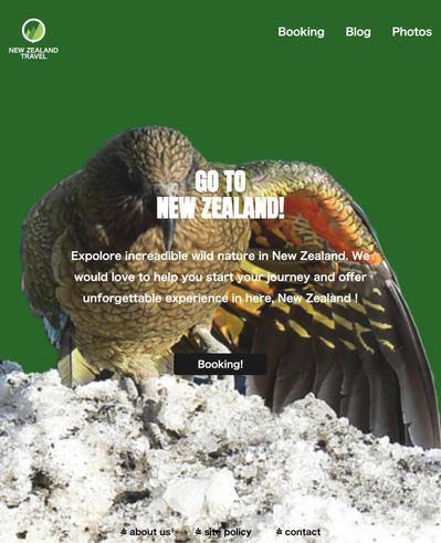 New Zealand Travel