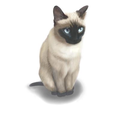 猫カフェの猫の似顔絵