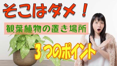 サムネイルサンプル1