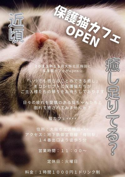 猫cafe