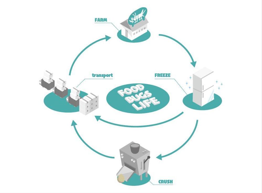 昆虫食の作業フローの図解（インフォグラフィック）