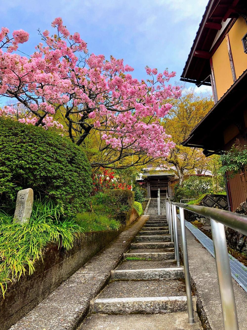 「岸池山　薬師寺のウェブサイト制作」