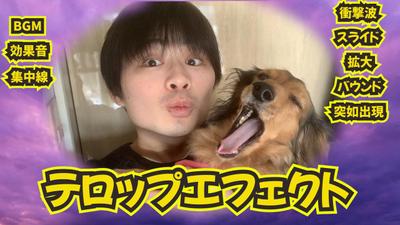 【愛犬登場！？】ポートフォリオ動画（テロップエフェクト・効果音・BGM）