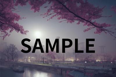 ご提案画像　SAMPLE