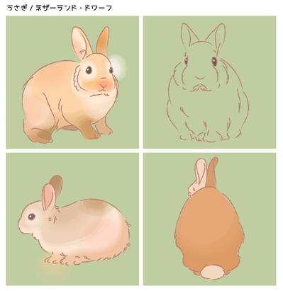 教材用動物イラスト