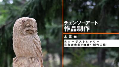 大学生教習用チェンソー動画