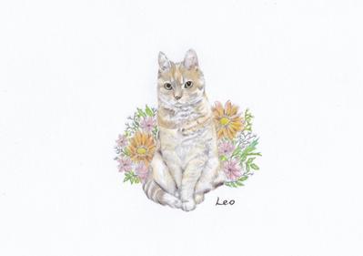 leo