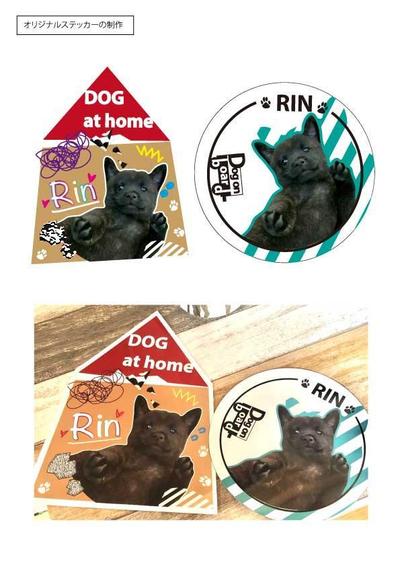 ペットの野外用ステッカーデザイン