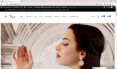 wordpress site