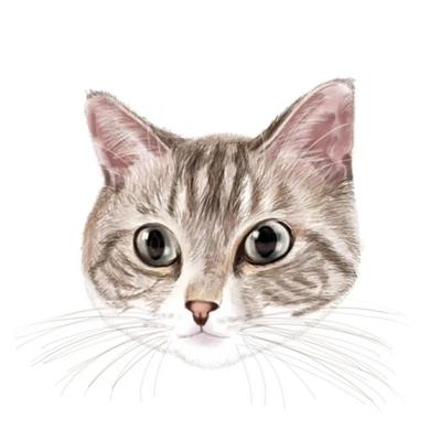 猫ちゃんのアイコン制作