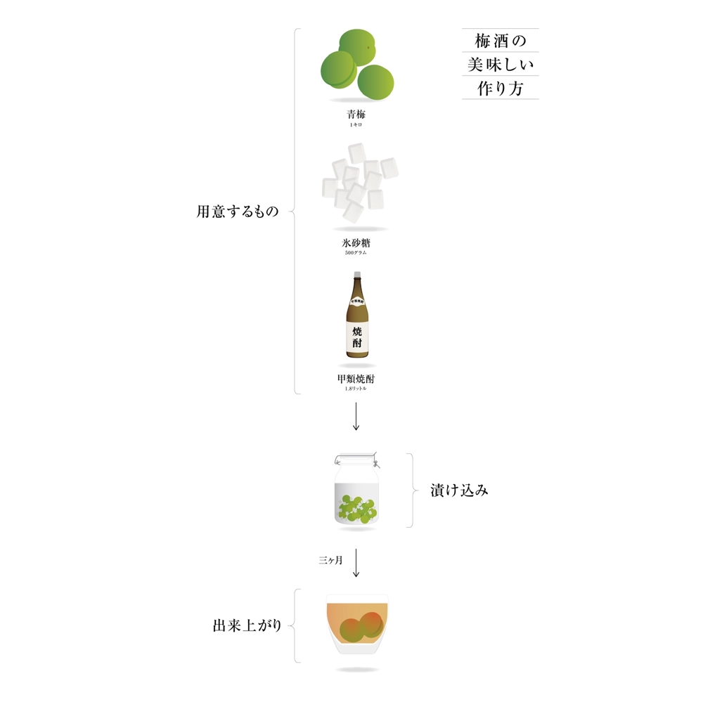 【自主制作】梅酒の作り方のチャートを制作しました